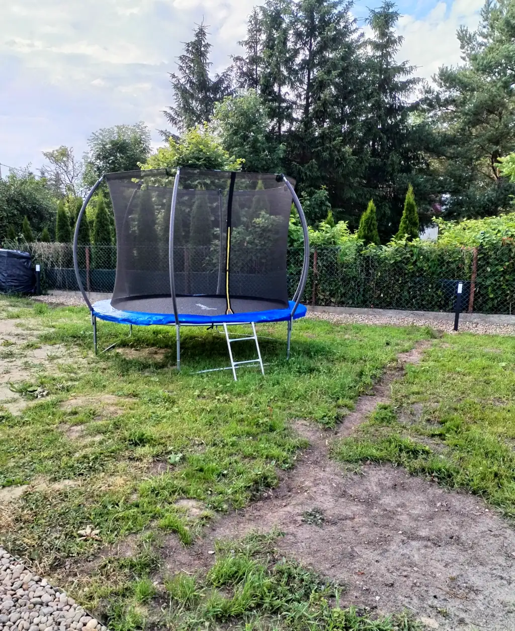 Children’s trampoline with a safety net on the lawn, conifers in the background